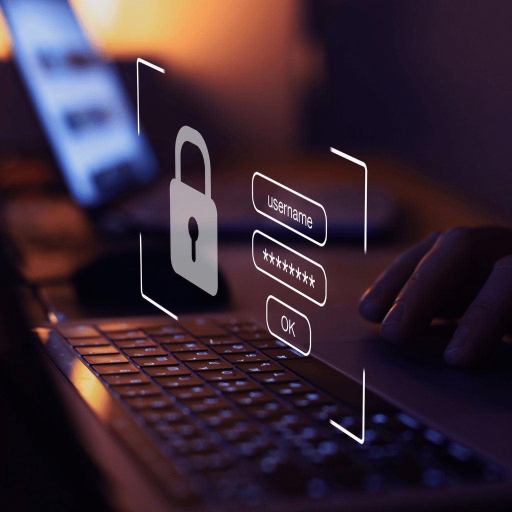 Vulnerability Assessment & Penetration Testing (VAPT)