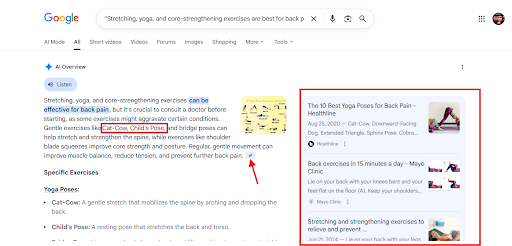 Example of AI Overview SEO in Action