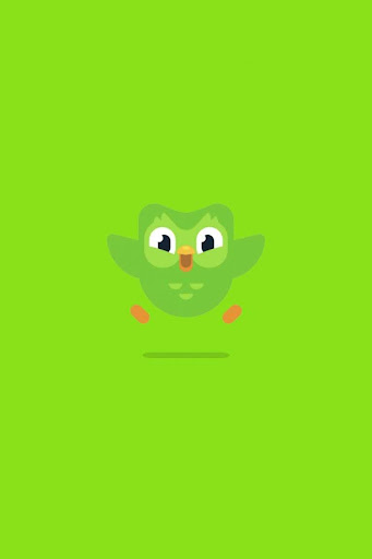 Duolingo owl mascot Duo on green background