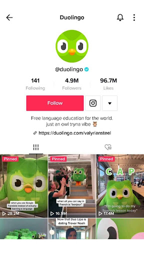 Duolingo sponsored ad posts showing the app